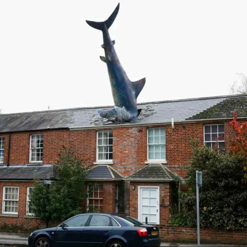 House with massive shark sticking out of roof given listed building status despite owner’s objections